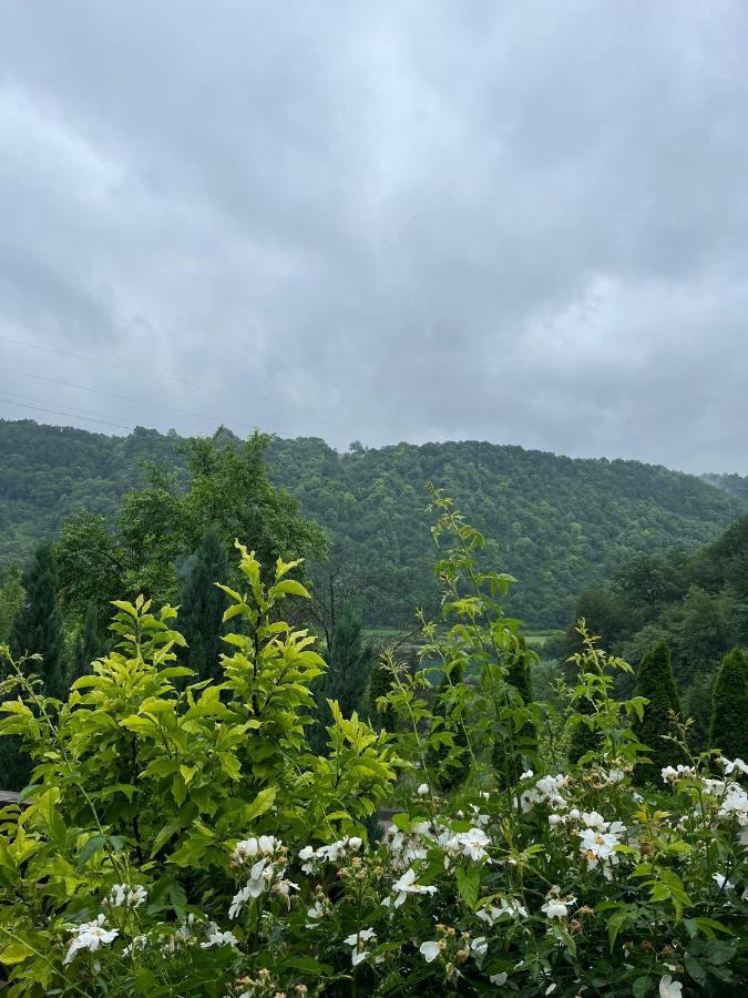 Villa Nature Bihać Εξωτερικό φωτογραφία